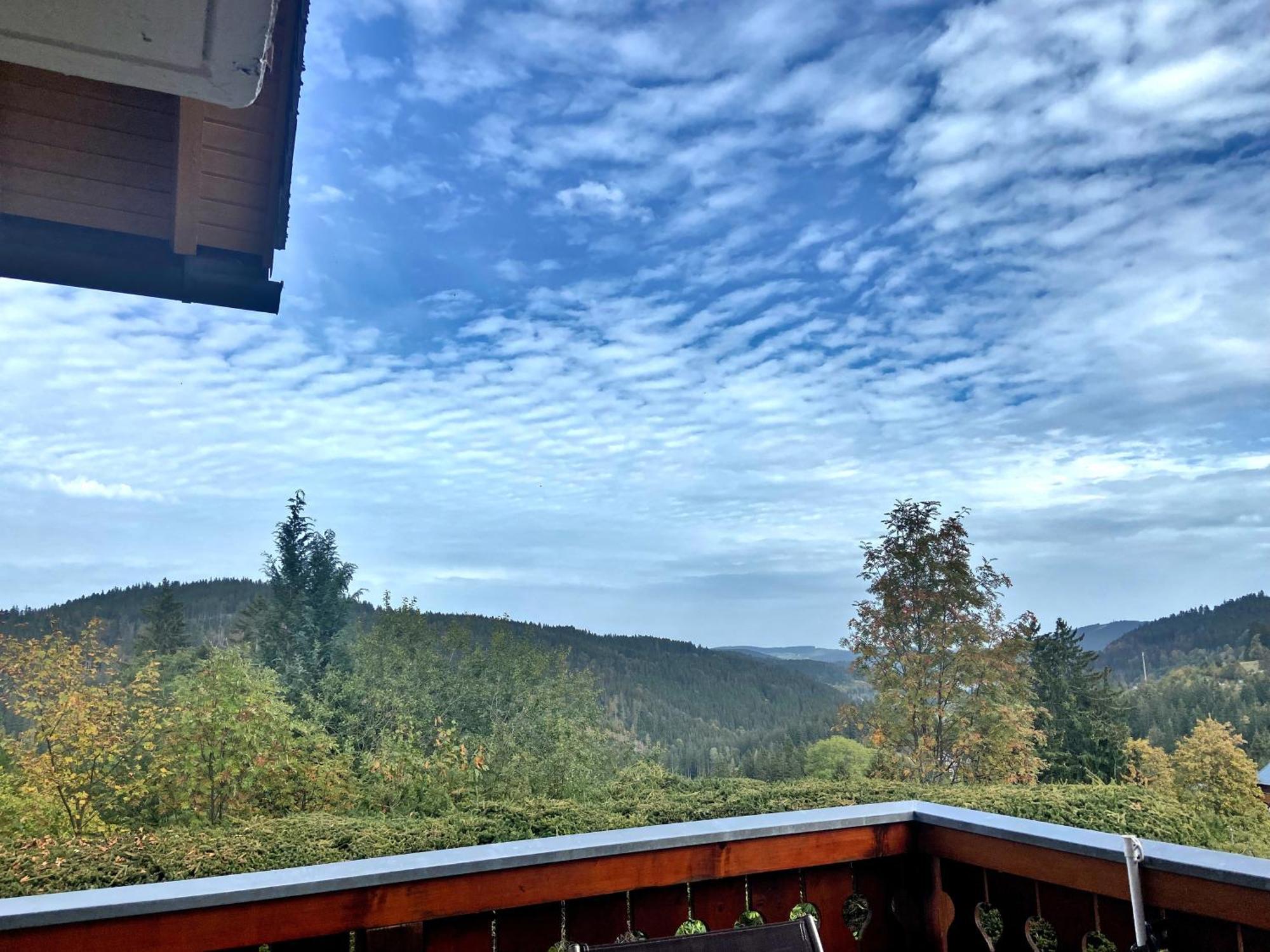 Rotwasser Ferienwohnung Seeblick Nr 2 5-Zimmerwohnung - Feldberg Baerental מראה חיצוני תמונה