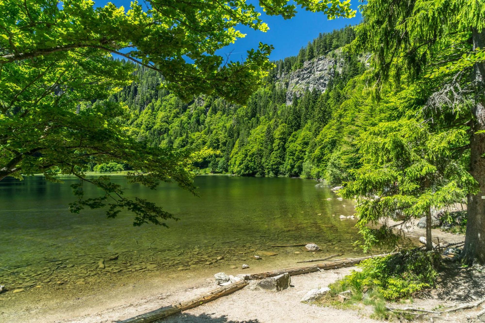 Rotwasser Ferienwohnung Seeblick Nr 2 5-Zimmerwohnung - Feldberg Baerental מראה חיצוני תמונה